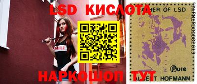 эйфоретик Славгород