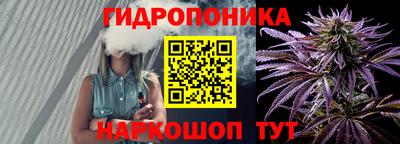 эйфоретик Славгород