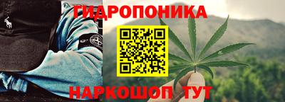 эйфоретик Славгород