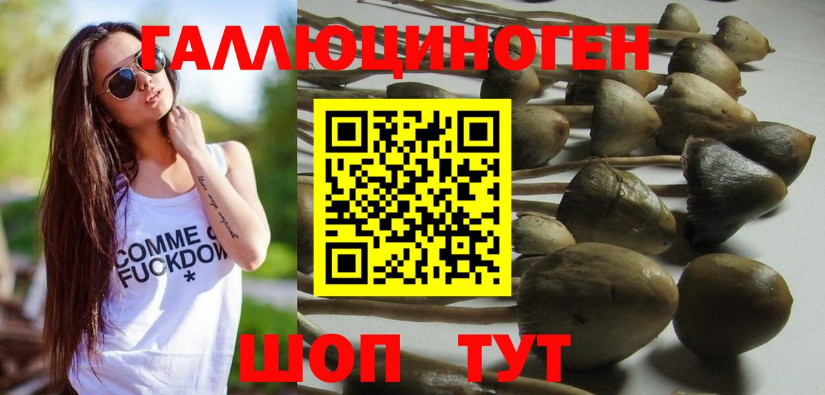 Псилоцибиновые грибы мицелий  Вход с VPN  хочу   Вичуга 
